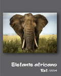 Elefante africano