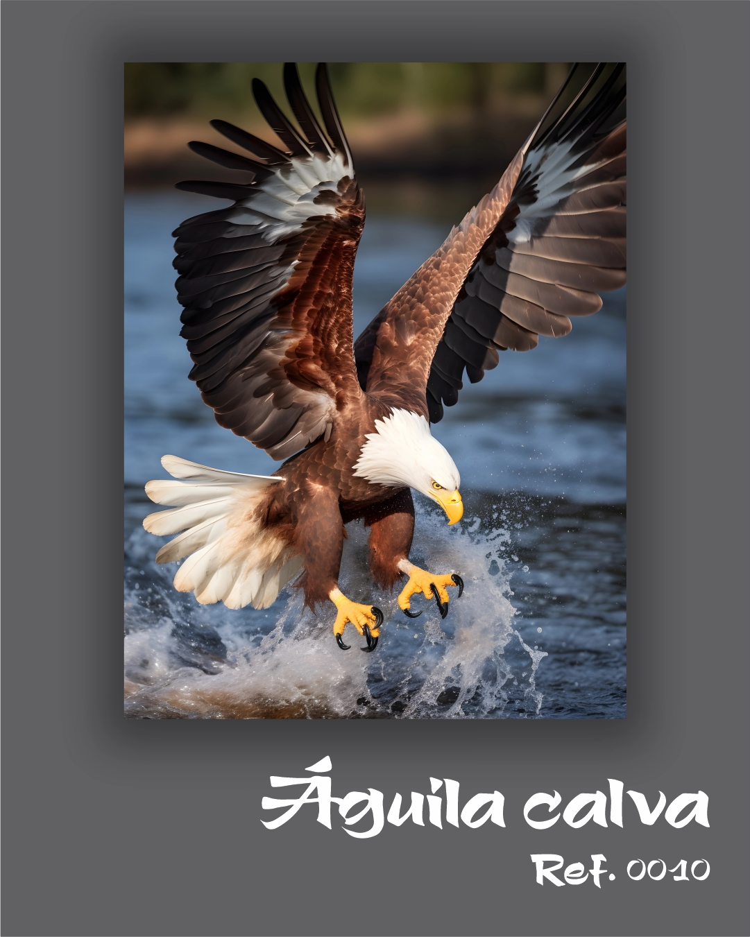 Águila calva