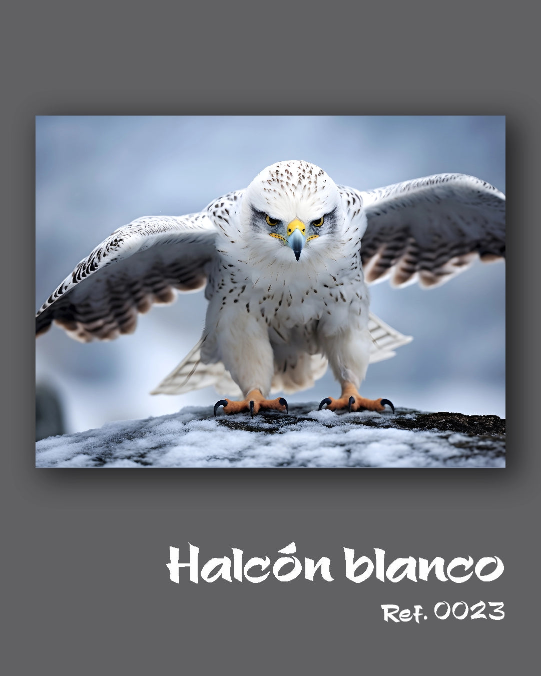 Halcón blanco