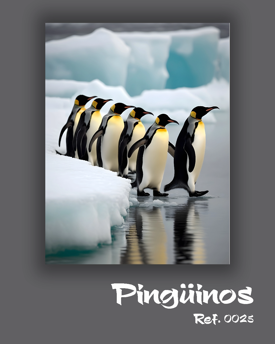Pingüinos